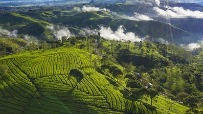 3 Destinasi Wisata di Jawa Barat yang Wajib Dikunjungi